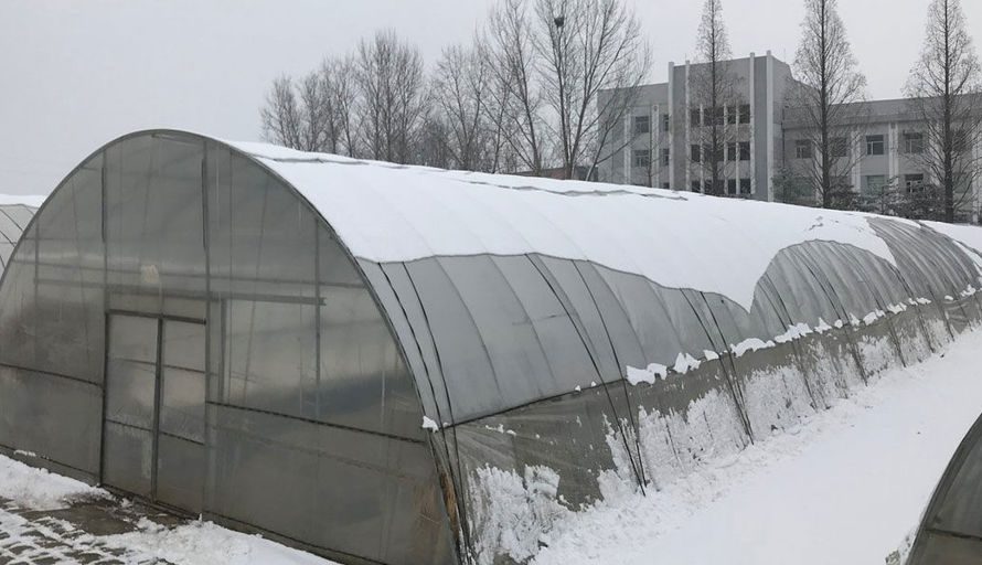 نحوه دوپوش کردن گلخانه