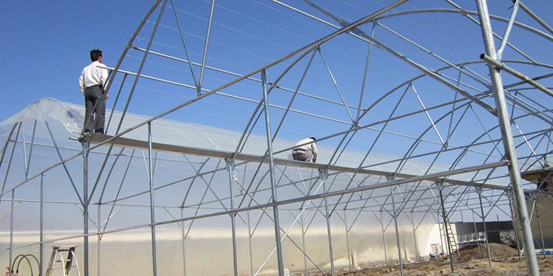 هزینه نایلون کشی گلخانه