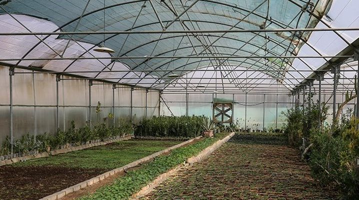 ابعاد و ضخامت مناسب نایلون عریض گلخانه