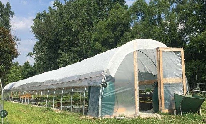 ویژگی‌های روکش مناسب گلخانه