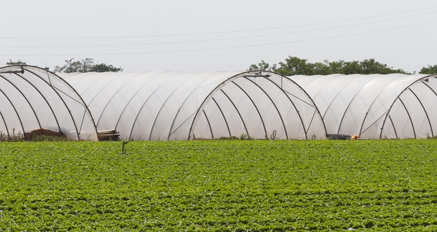 مشمای گلخانه چیست؟ (آشنایی با کاربرد و ویژگی های مشمای گلخانه)
