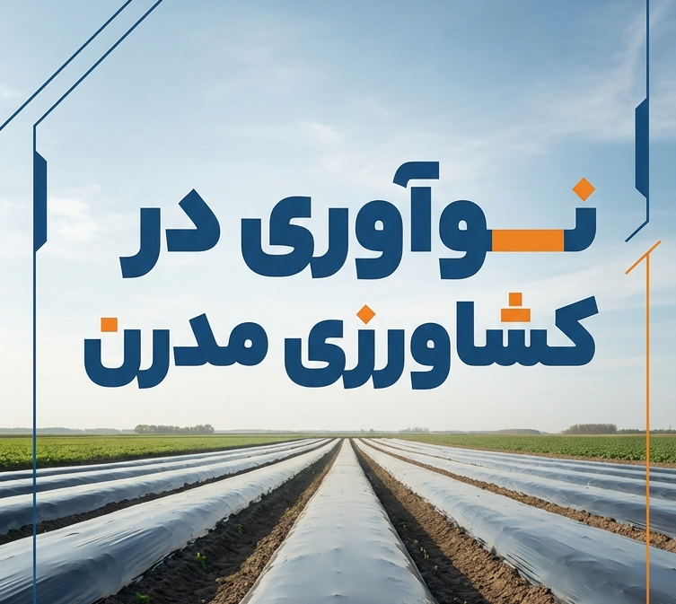 نایلون مالچ کشاورزی چیست و چگونه باعث افزایش عملکرد، کاهش هزینه‌ها و مدیریت بهینه زمین می‌شود؟